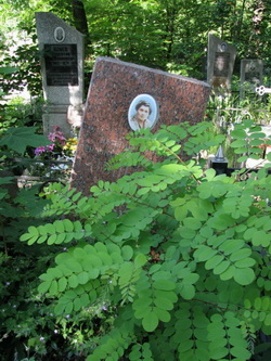 Почему памятники дают боковой крен, шатаются, падают