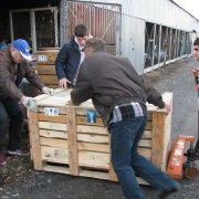 Погрузо - разгрузочные работы на складе ЧП Прядко в Киеве; отправка статуи готового Ангела адресной доставкой по Украине; профессиональные и трезвые  грузчики, аккуратно и качественно.