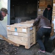 Сопровождение упаковки груза специальной документацией и маркировкой позволяет с первого взгляда определить тип скульптуры и обеспечить её дальнейшую безопасную транспортировку по Украине.