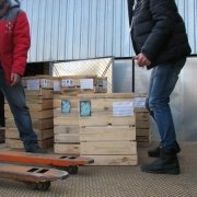 Адресная доставка ритуальных ангелов по Украине. На фото рабочий момент разгрузки упакованных ангелов для памятников. Оформление документов на доставку скульптуры по Украине, гарантия качества транспортировки статуй.