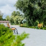 Белое кладбище. Новое кладбище в Киеве.