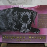 Цветной портрет собаки на камне в виде ритуальной таблички; размер могильной таблички 40 х 60 см., стоимость 4 тыс. грн. Установка таблички на кладбище 300 грн.