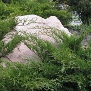 На фото производство памятников из валуна. Купить памятник из рваного камня, вы можете на складе ЧП Прядко в Киеве.