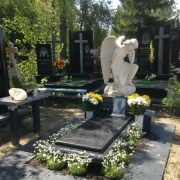 Нові пам'ятники.119