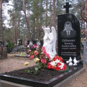 Нові пам'ятники.134